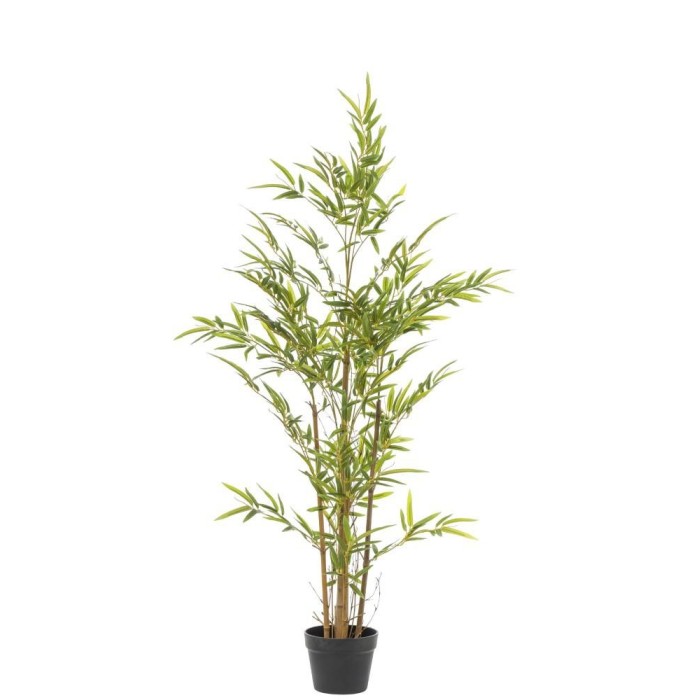 PIANTA BAMBOO 385 FOGLIE CM.90